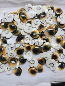 Pierres précieuses IRFAN GEMS de haute qualité, œil de Shiva, cœur, pierres précieuses naturelles en vrac, cabochon, formes mélangées, 20-50 mm, certifiées par une tierce partie, Rajasthan - Product Image 4