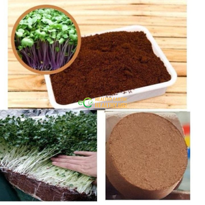 Handmade Coconut Coir Disc <b>Planter</b> Pots | Eco-Friendly Biodegradable Custom Size Planting Use Wholesale Bulk Orders - Product Image 4