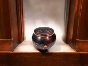 Mini Stainless Steel Adult Burial <b>Urn</b> Brass Paw Print Memorial Keepsake Metal Ash Holder Small Dog <b>Cat</b> Cremation <b>Urns</b> - Product Image 3