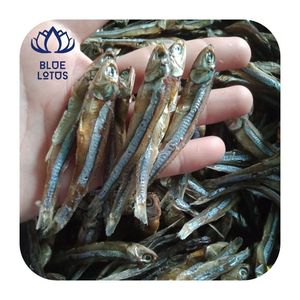 ปลาแอนโชวี่แห้งบลูโลตัส [ขายดี] อายุการเก็บรักษา 24 เดือน เหมาะสำหรับซุป น้ำซุปข้าวต้ม ข้าวต้ม อาหารทะเล ผัด ทำอาหารทุกวัน - Product Image 1
