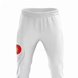 Servicio OEM, Uniforme de Cricket de Color Sólido de Alta Calidad al por Mayor, 100% Poliéster, Ropa de Equipo, Uniforme de Cricket a Bajo Precio - Product Image 6