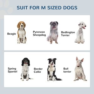 Ciotole Rialzate Grigie per Cani di Taglia Media, Piccioni e Conigli, 2 Ciotole in Acciaio Inossidabile Ecologiche, Pieghevoli e Compatte per Viaggi - Product Image 4
