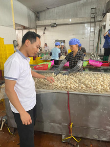 Litchis surgelés d'origine vietnamienne, meilleur prix, fournisseur en gros - Product Image 3