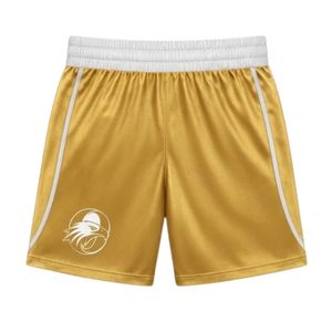 Shorts de boxe dorés pour hommes, vêtements de combat athlétiques, entraînement, compétition, vêtements de sport, shorts de performance pour le ring - Product Image 1