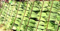 Vietnamese bamboebladeren gedroogd vers 45cm 7cm breedte 10% vochtigheid verse groene kleur cake verpakking Gimex Vietnam 1kg/zak 18 maanden