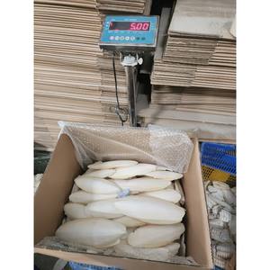 Polvo de Hueso de Sepia Blanqueado de Tamaño Mediano de la Más Alta Calidad GIA NGUYEN, Hueso de Calamar para Aves Loros, Precio de Fábrica de Vietnam - Product Image 4