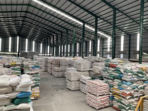 Riz collant vietnamien ST25 de qualité supérieure aromatique à long grain exportation en vrac en paquets de 5kg 10kg 25kg 50kg - Product Image 5