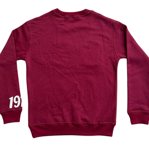 เสื้อสเวตเชิ้ตสีมารูนปักลายเดลต้าเชนิลล์แบบกำหนดเอง  ลายกรีก DST สำหรับฤดูหนาวและฤดูใบไม้ร่วง ผ้าฝ้าย 100% ด้านหน้ามีลาย 1913 ที่แขนเสื้อ - Product Image 6