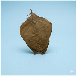 Feuilles d'amarante verte naturelles et nutritives YAMUNA, produit agricole séché - Product Image 2