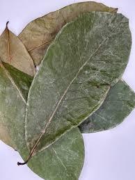Raw Camellia Sinensis Leaves <b>Tea</b> Dry Storage Organic Non Sugar Health <b>Tea</b> 50g Bulk Packaging - Product Image 2