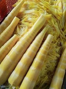 หน่อไม้ไผ่รสเผ็ดจีนและพริกดอง 500 กรัม พร้อมรับประทาน ของว่างจากผัก - Product Image 2