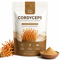 Порошок экстракта гриба Кордицепс Милитарис Qidan Private Label оптом, 30% полисахаридов, высококонцентрированный, из плодовых тел