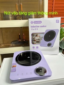 Cuisinière à induction portable étanche 2200W à brûleur unique avec plaque céramique robuste, 8 niveaux, pour usage extérieur et domestique - Vente en gros - Product Image 6