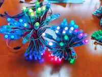 DC5V 0,3W WS2811 12MM LED-Pixellicht Punktmatrix IP67 Wasserdichte Werbetafel Anzeige Landschafts-Baumbeleuchtung Lichterkette