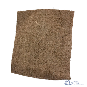 MEILLEUR PRIX |   Tapis de porte en fibre de coco robuste pour entrée principale, grattoir à saleté, protection de sol, fabriqué au Vietnam - Product Image 1
