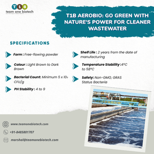 Bacterias Aeróbicas para la Mejora de la Aireación de Aguas Residuales Industriales - Product Image 3