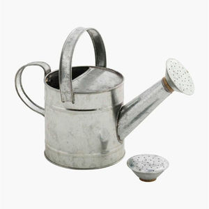 Arrosoir en fer galvanisé de forme ovale, arrosoir en zinc, pot à eau en métal pour plantes d'intérieur et d'extérieur, prix avantageux - Product Image 3