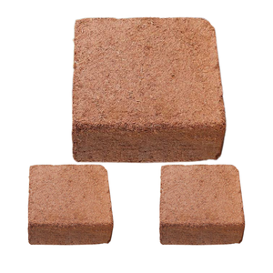 Cocopeat best-seller pour l'amélioration de la terre de culture, adapté à tous les types de plantes, utilisé pour la culture et apportant des nutriments. - Product Image 1