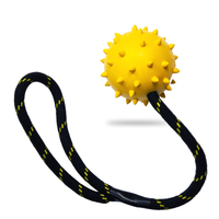 Nettoyage des dents de chien, cordes en coton, jouets pour animaux domestiques, à mâcher, boule de corde en caoutchouc