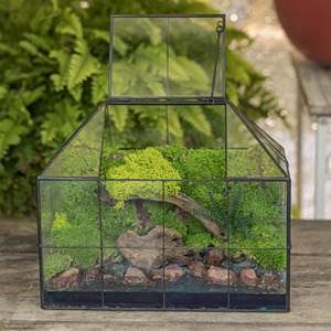 Terrarium en verre style serre avec toit ouvrant pour plantes d'intérieur, succulentes, mousse, décoration intérieure et mise en scène de table - Product Image 3