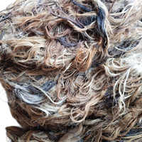 Natürliches mehrfarbiges Rinderschwanzhaar, gewaschen und getrocknet, Bastel- und Fliegenbindematerial zum besten Preis.