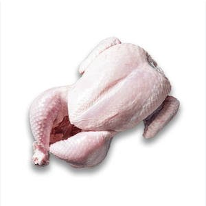 Pollo Entero Congelado IQF de Primera Calidad de Brasil con 12 Meses de Vida Útil en Venta - Product Image 2