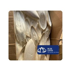 Hueso de Sepia Natural Blue Lotus para Aves, Loros, Pinzones, Canarios - Origen Vietnam, Varios Tamaños (3-15cm), Juguete Nutritivo para Mascotas - Product Image 1