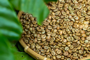 Grains de café vert Robusta vietnamien 100% naturels de qualité supérieure, vente en gros pour la torréfaction de grains de café moulu - Product Image 6
