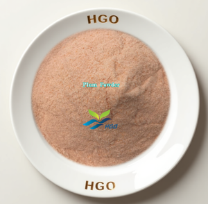 Suministro directo de fábrica HGO de polvo de ciruela natural puro (grado alimenticio) Especificación de polvo de fruta (polvo de fruta o vegetal) - Product Image 1