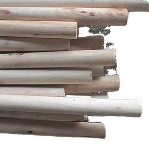 Gran cantidad de madera en rollo de Vietnam para producción agrícola y muebles - Product Image 1