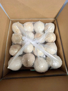 มะพร้าวขัดเงาทั้งลูก Coco fresco pulido Coco fresco polido สำหรับผู้ซื้อ (WA +84914319488) - Product Image 3