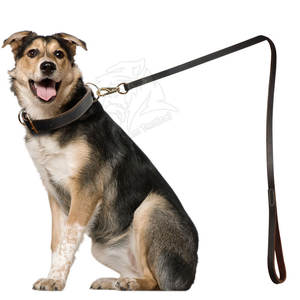 Correa y Collar Resistentes para Perro con Costuras Reforzadas y Uso Confiable, Collar y Correa Cómodos para Perro con Diseño Ligero - Product Image 5