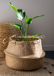 Panier en jonc de mer naturel fait main 2026 -ECO2GO VIETNAM - Rangement pliable pour plantes et boissons - Product Image 6