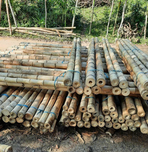 Wholesale Natural <b>Bamboo</b> Poles Thick <b>Raw</b> <b>Material</b> for Construction and Decoration - Product Image 5