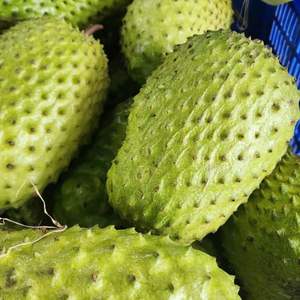 Pulpa de guanábana congelada hecha con fruta tropical fresca para smoothies, postres, bebidas y como ingrediente para procesamiento de alimentos. - Product Image 2