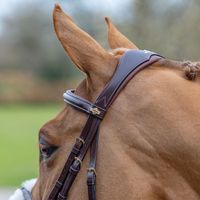 Bridon anglais en cuir marron sur mesure avec finitions brillantes, avec nezier rembourré, frontal et rênes en toile