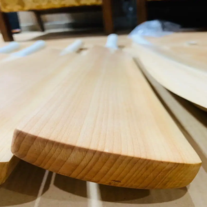 Batte de cricket en bois de saule anglais pour intérieur et extérieur – Qualité supérieure pour joueurs professionnels – Légère et durable - Product Image 3