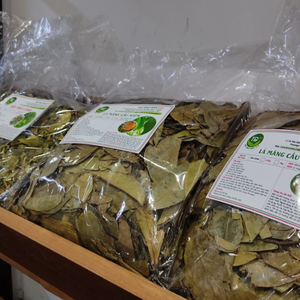 Hojas de Guanábana Secas EXPAD 500g, Preparación Segura y Efectiva con Agua Caliente, 18 Meses de Duración - Product Image 1