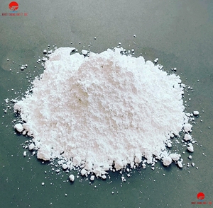 ผงแคลเซียมคาร์บอเนตเคลือบผิวละเอียดพิเศษ NHAT THANG VNT7 JSC ความบริสุทธิ์ >98% เกรดอุตสาหกรรม สำหรับวัสดุเติมแต่งเม็ดพลาสติก - Product Image 1