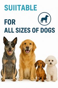 Masticables de Yak del Himalaya de Marca Privada para Perros, Sabor a Fresa, Masticables Naturales de Larga Duración para Perros, Soporte OEM y ODM, Golosina Premium - Product Image 6