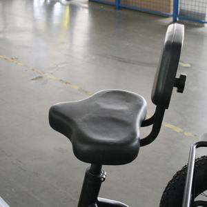 Vélo électrique 2024, nouveau modèle, 7 vitesses, pneus larges, vélo cargo électrique à 3 roues avec pneus neige, vélo électrique polyvalent - Product Image 5