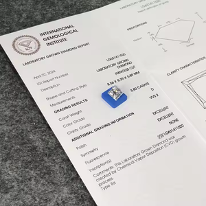 Diamante Cultivado en Laboratorio, Corte Princesa, Claridad Certificada IGI, Diamante Suelto - Product Image 1