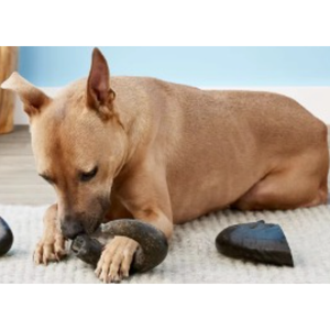 Juguete Masticable de Cuerno de Búfalo Natural para Perros, Artesanía Natural Sostenible para Masticadores Agresivos, para Perros Grandes - Product Image 1