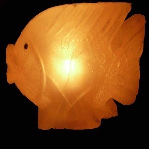 Lampe en sel de l'Himalaya en forme de poisson, lampe en sel rose de l'Himalaya en forme de poisson, 100% organique, sculptée à la main, lumière LED pour la décoration de la maison - Product Image 1