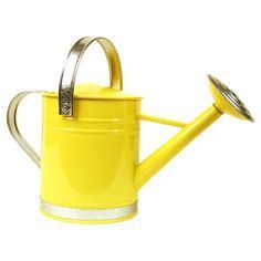 Arrosoir en métal de style vintage pour plantes d'intérieur, décoration de jardin, pot à eau avec long bec verseur et poignée robuste - Product Image 5