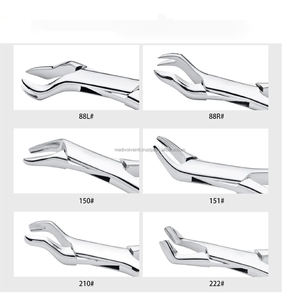 Juego de 12 Pinzas Manuales para Extracción Dental, Patrón Americano, Acero Inoxidable de Grado Alemán, Instrumentos Quirúrgicos, Proveedor Mayorista - Product Image 3