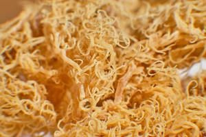 NUTRICIOSO NATURAL IRLANDÉS SEAMOS 100% VIETNAM MS SUNNIE - Product Image 5