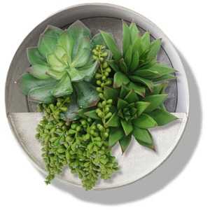 Jardinière murale minimaliste en béton, support circulaire pour plantes succulentes, pot suspendu idéal pour la décoration intérieure et extérieure, provenant d'Inde - Product Image 3