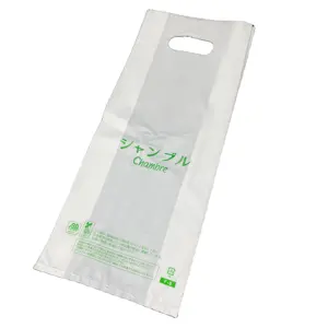 ODM Viet Nam Fabricant Hot Deal Vente en gros Logo imprimé personnalisé Conception LDPE/HDPE Poignée Sac en plastique Sac de transport avec poignée découpée - Product Image 1