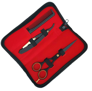 Kit de ciseaux à effiler professionnels en acier inoxydable à lame tranchante pour la coupe de cheveux, outils de salon ARISTON INTERNATIONAL à vendre - Product Image 1